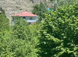 Hamsiköy green garden