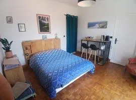 Chambre avec accès indépendant - WC et salle de bain privés, parking gratuit - vue montagne