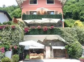 CASA ELISA