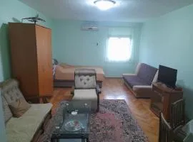 Apartman Djenovici