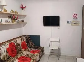 Casa PALLINA FIDENZA
