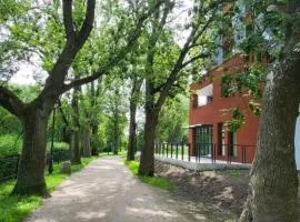 Czarna Perła