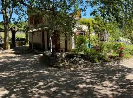 Le Cabanon