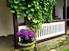 Artist eremitage Leonora - Historic schoolhouse apartment