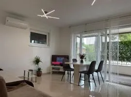 Apartment Roko
