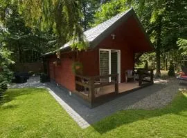 DOMEK POD SOSNAMI