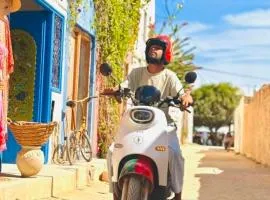 Wostel Djerba Downtown