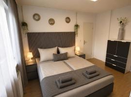 Stielvolle Wohnung in bester Lage, Hotel in Rodenbach