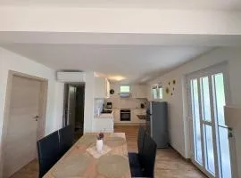 Apartma Zari