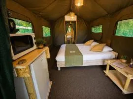 Safari Glamping Portugal Gazelle