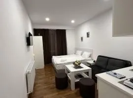 cozy apartment in a ski area