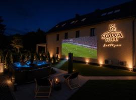 Sowa Hill SPA z balią, jacuzzi i sauną, Góry Sowie blisko Wielkiej Sowy – hotel w mieście Pieszyce