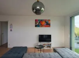 Maison 8 personnes et un studio de 4 personnes à 12km du parc