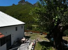 Aldo House