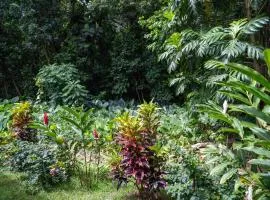 Kay Canou - Vue jardin tropical - Calme & nature