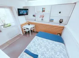 Cosy logement Hyper Centre-ville
