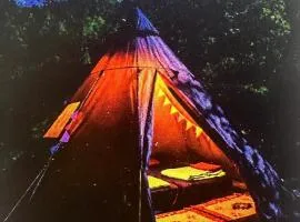Tipi sous les étoiles