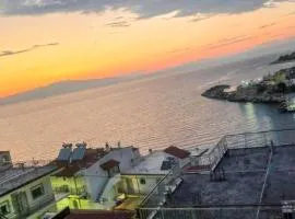 Pansion Panorama
