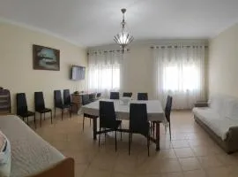 Gaivota Erudita