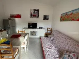 House Turi