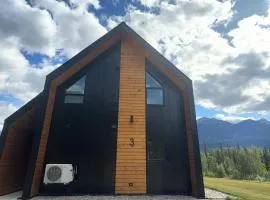 Unreal Mountain Views Private Hot Tub PÜR 3