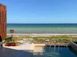 Private villa among palms in Telchac