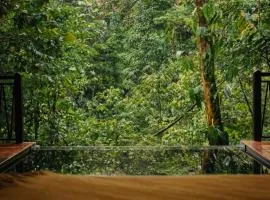 Nuakú Jungle
