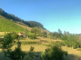 FEWO in Spielberg