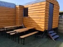 Tiny House auf der Kingswood Ranch