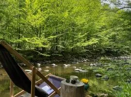 Cottage by the river Valea Draganului