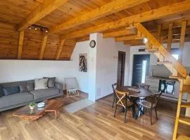 Durmitor Twin Chalets