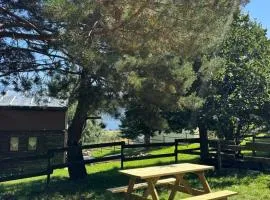 Joli chalet à 2 min des pistes, 5 min du coeur du village, parking privé, tout à pied