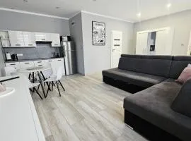 Noclegi Jodłowa - Apartament