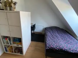 Skønt værelse med eget bad og toilet