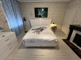 Chambre bleue