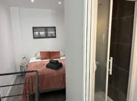 Splendide duplex en plein coeur de Vernon