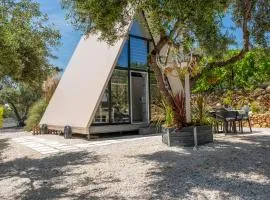 Danae's A-Frame Nest