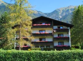 Haus Pock Apartments, hotel with parking in Presseggersee
