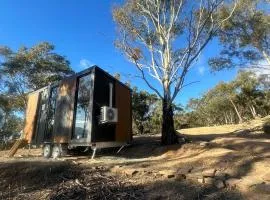 Black Snake Sky Box by Tiny Away