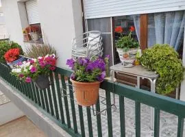 Spacious House in Deltebre with Terrace