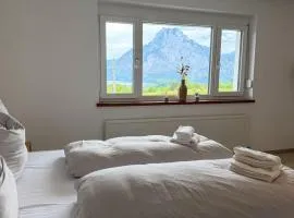 Apartment am Traunsee mit Panorama Seeblick 1
