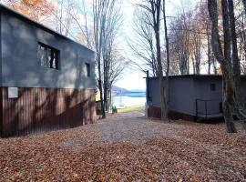 Paltinu Lake Villas