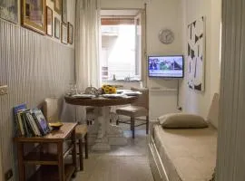 La casa di Nice