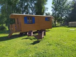 Charming trailer, forest view
