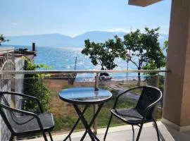Lakefront House