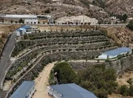 Residential compound