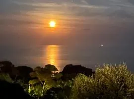 Paradis bleu
