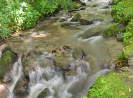 Panther Creek Cabins, pet-friendly hotel in Cherokee