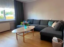 Viskoosa Näkmani Apartment