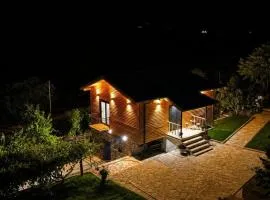 Guesthouse Deshnica
